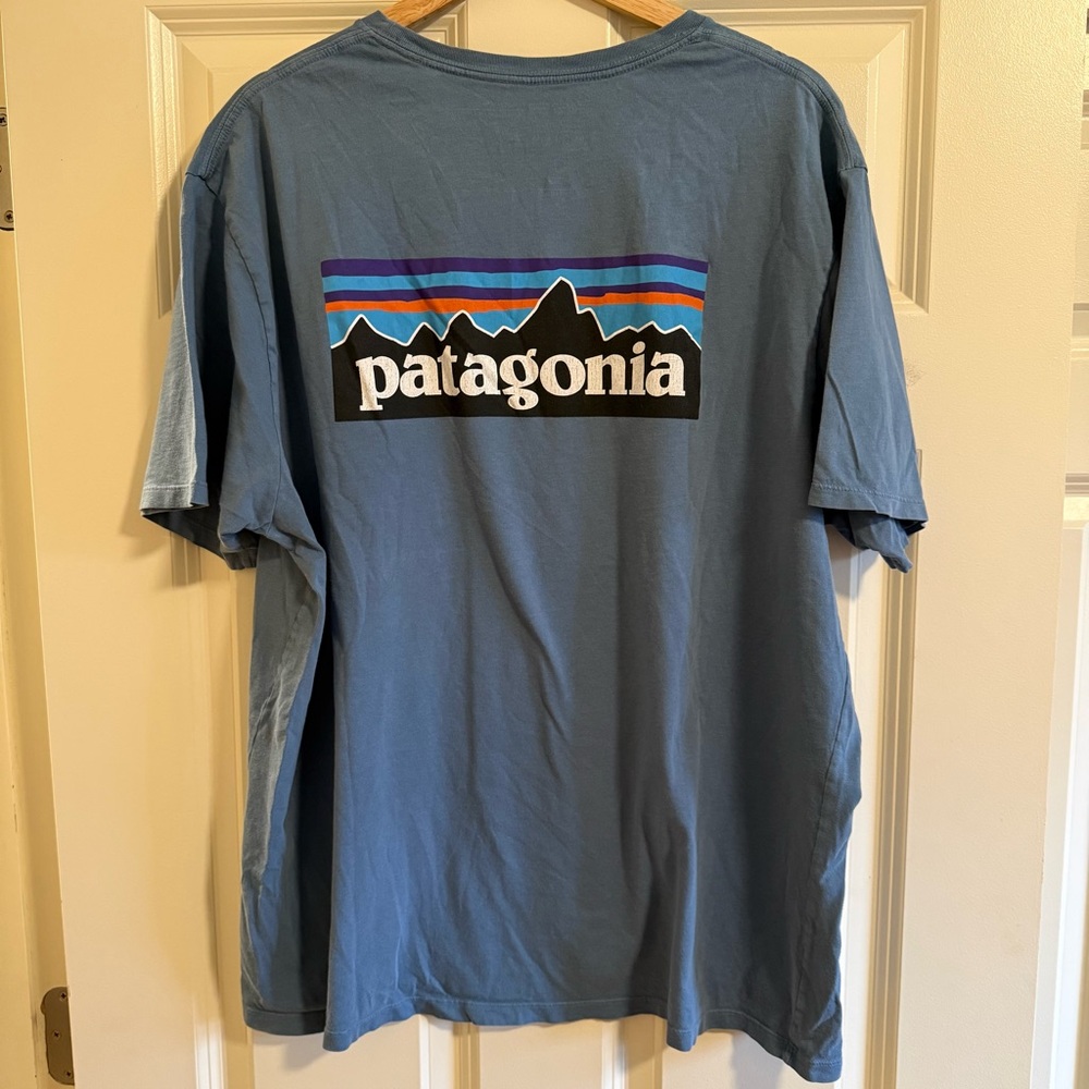 Patagonia Men's Short Sleeve Tee in Blue